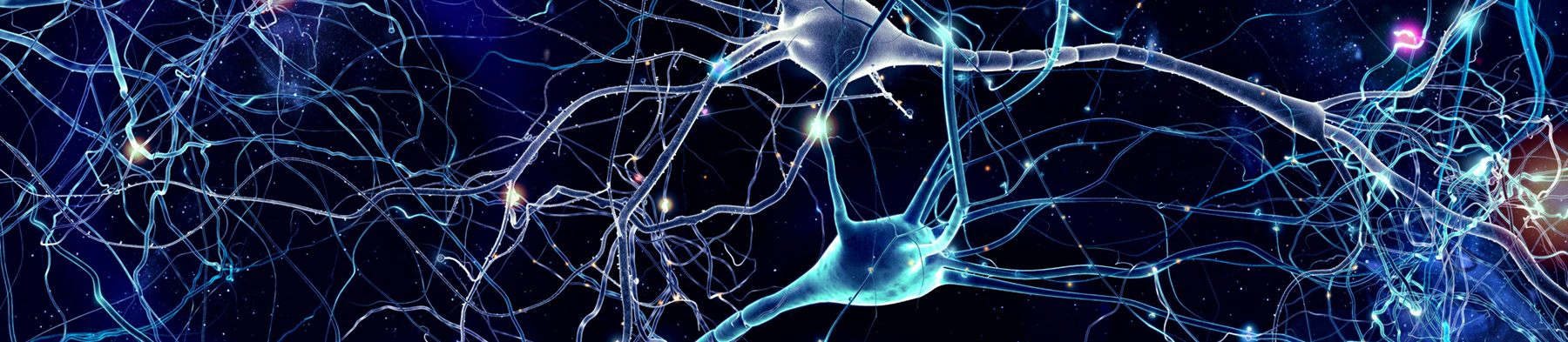 Intelligence in the Universe